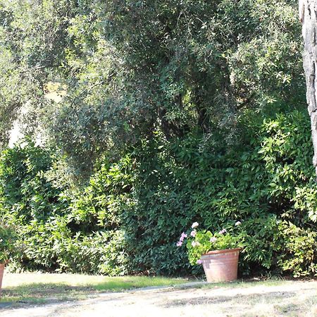 Villetta La Pineta Latignano ภายนอก รูปภาพ