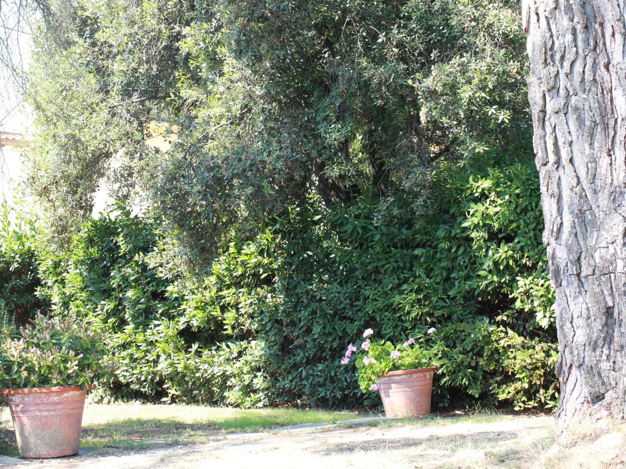 Villetta La Pineta Latignano ภายนอก รูปภาพ