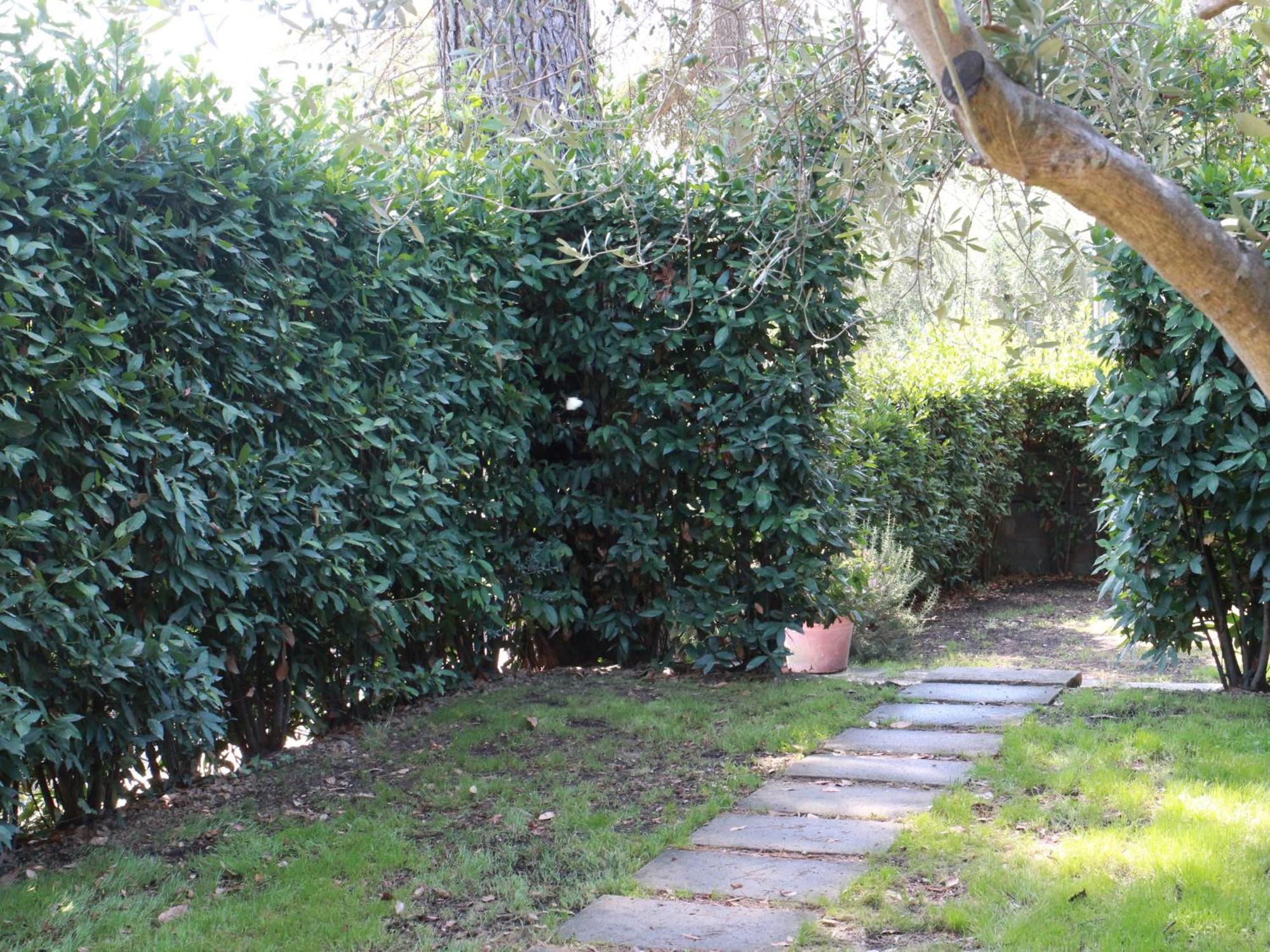 Villetta La Pineta Latignano ภายนอก รูปภาพ